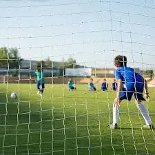 Mreža za vrata